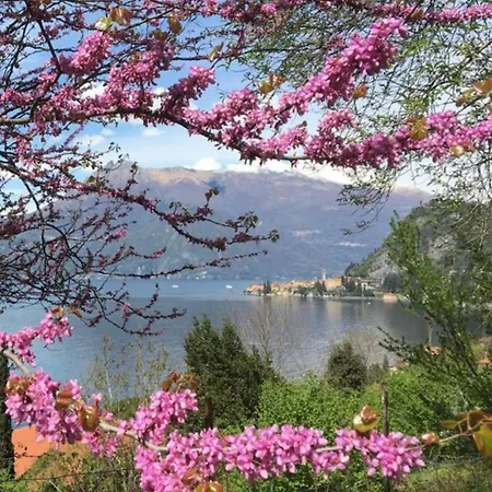 Semesterbostad La Punta Di *